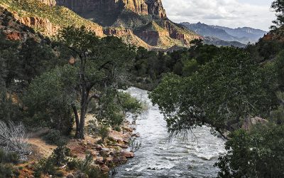 What is the coldest month in St. George?